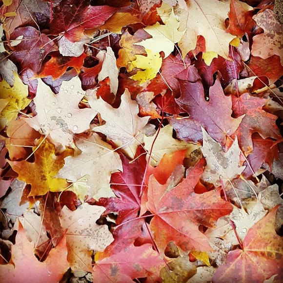 Meet your Posher, Courtney - Picture 1 of 1